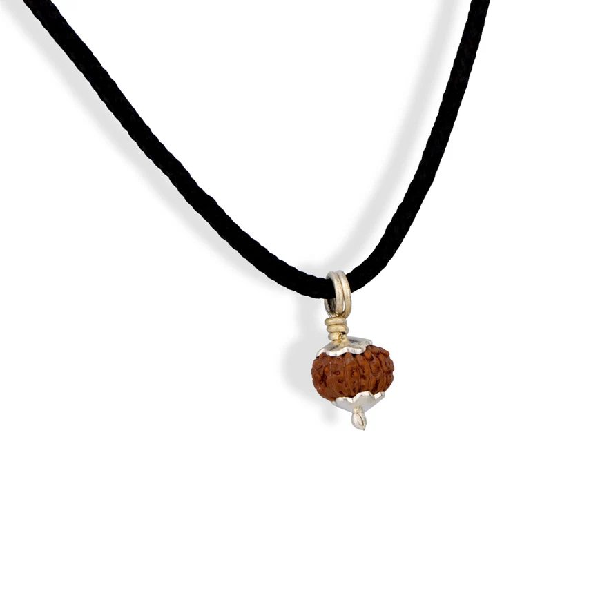 14 Mukhi Rudraksha Bead | Silver Cup Fourteen Mukhi Rudraksha/ Java Hanuman 14 Face Rudraksha for Men & Women