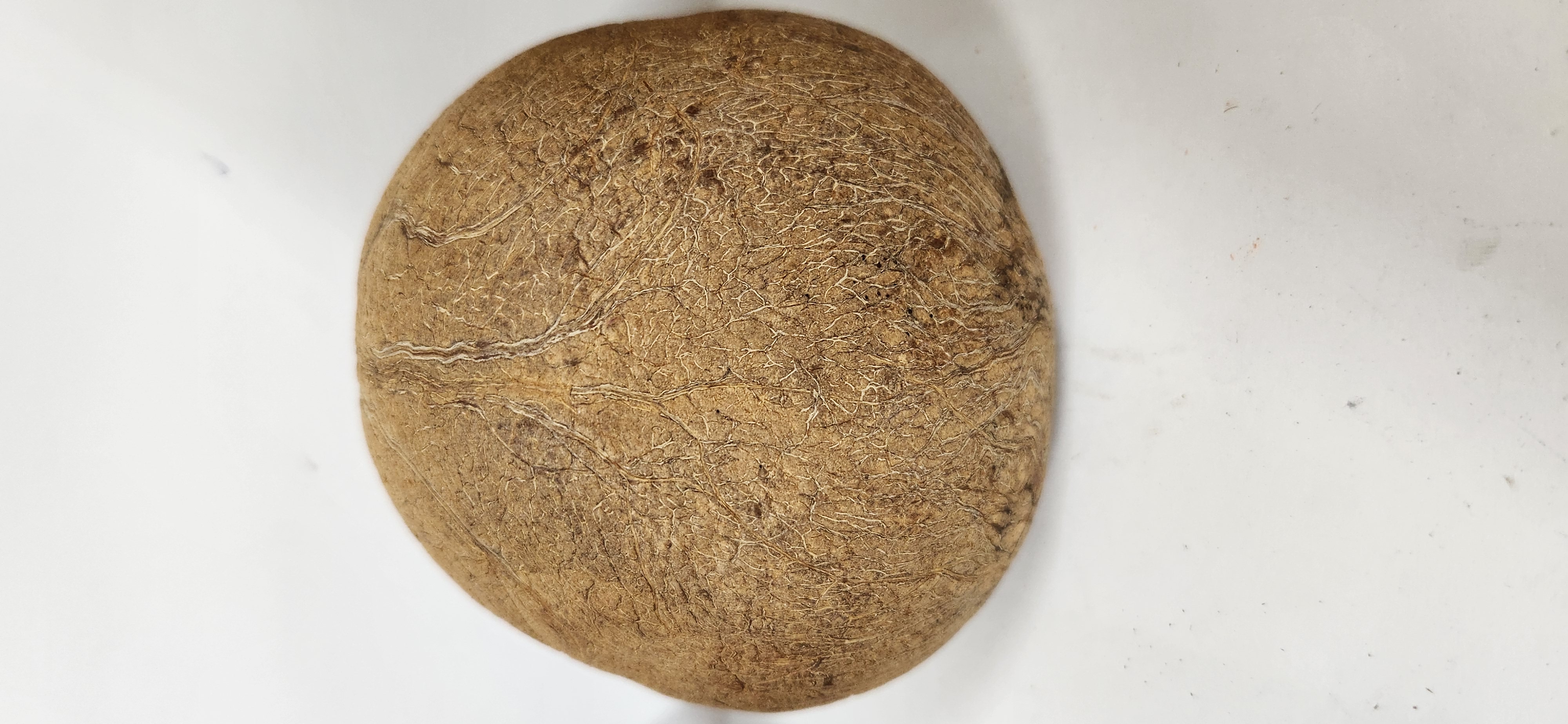 Dry Coconut/Kopparai/SukhaNariyal Whole