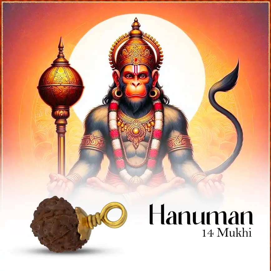 14 Mukhi Rudraksha Bead | Silver Cup Fourteen Mukhi Rudraksha/ Java Hanuman 14 Face Rudraksha for Men & Women