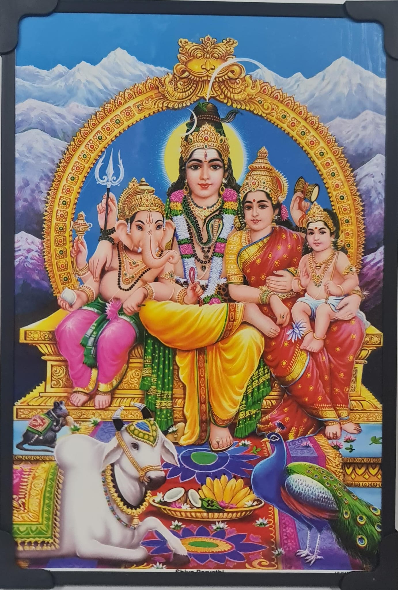 SHIVA FAMILY