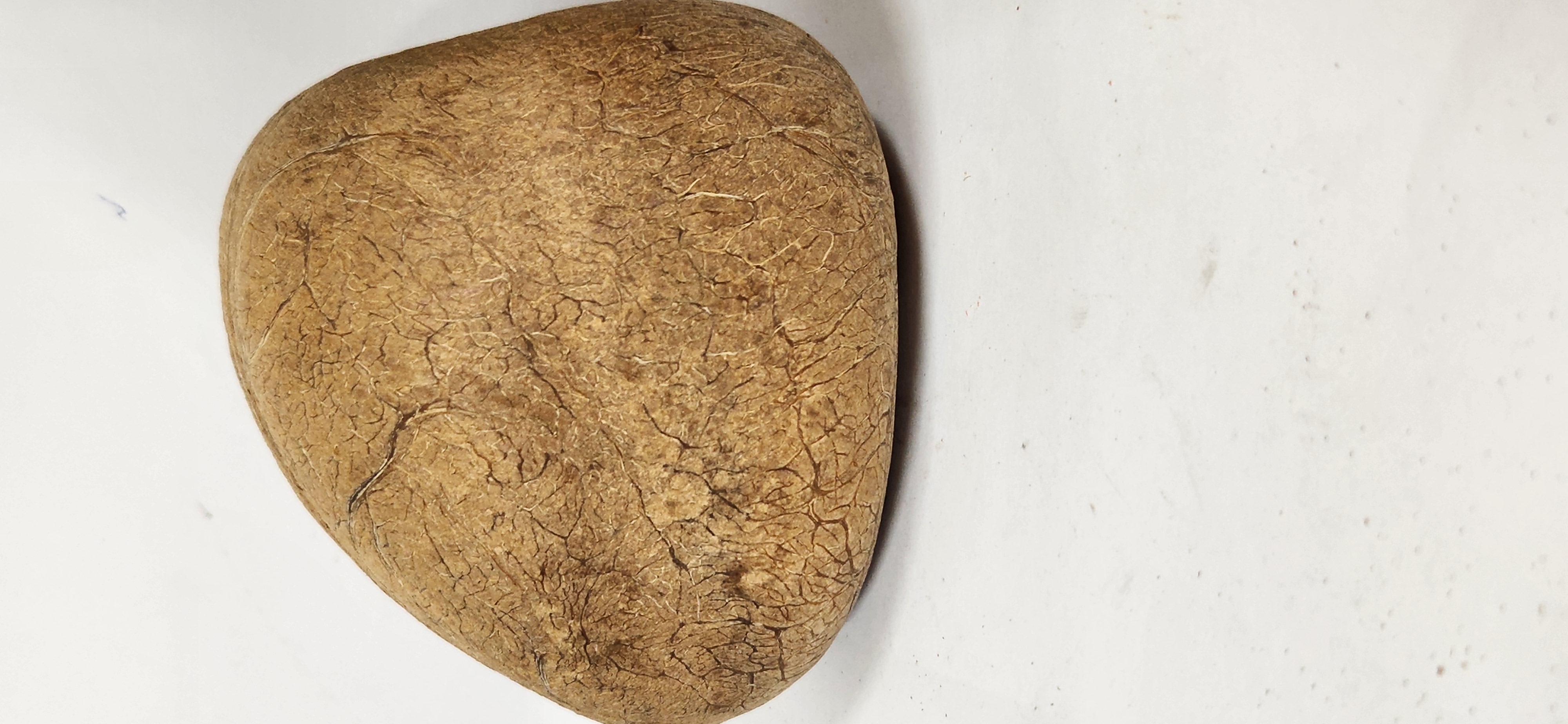 Dry Coconut/Kopparai/SukhaNariyal Whole